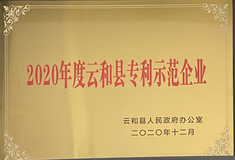 2020年度云和縣專利示范企業(yè)